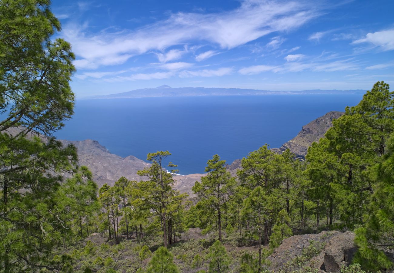 Casa en San Bartolomé de Tirajana - Las Adelfas 20