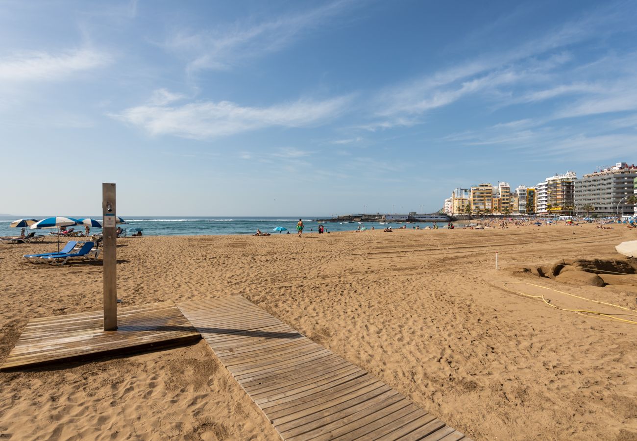 Estudio en Las Palmas de Gran Canaria - Emilio Zola 25