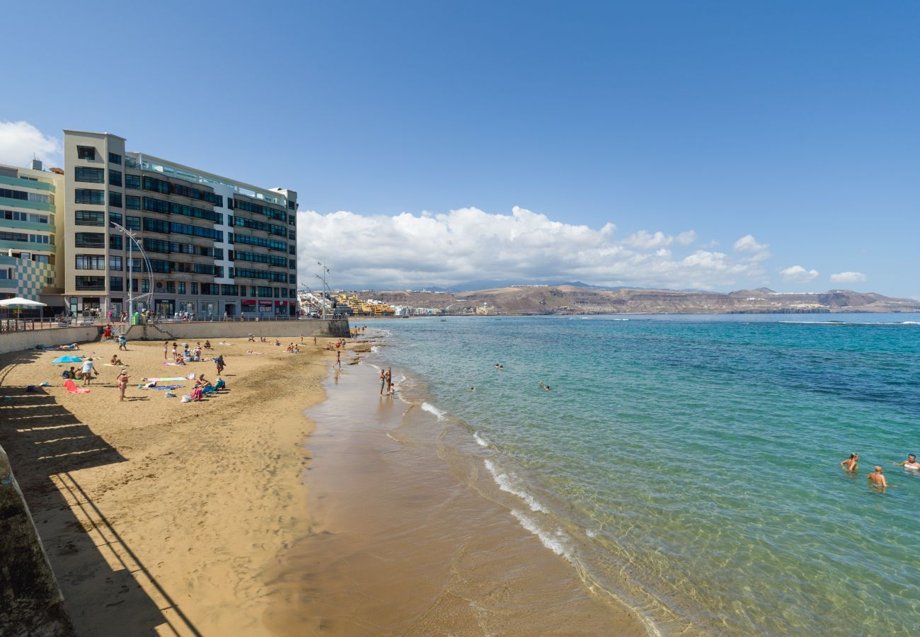 Estudio en Las Palmas de Gran Canaria - Emilio Zola 25