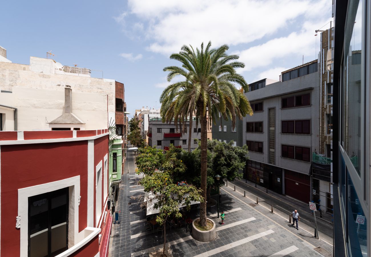 Estudio en Las Palmas de Gran Canaria - Emilio Zola 25