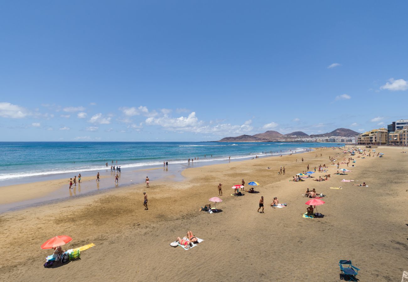 Estudio en Las Palmas de Gran Canaria - Emilio Zola 25