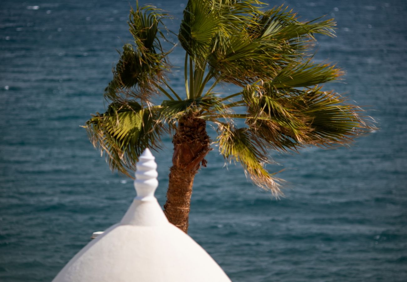 Casa en San Bartolomé de Tirajana - Altamar