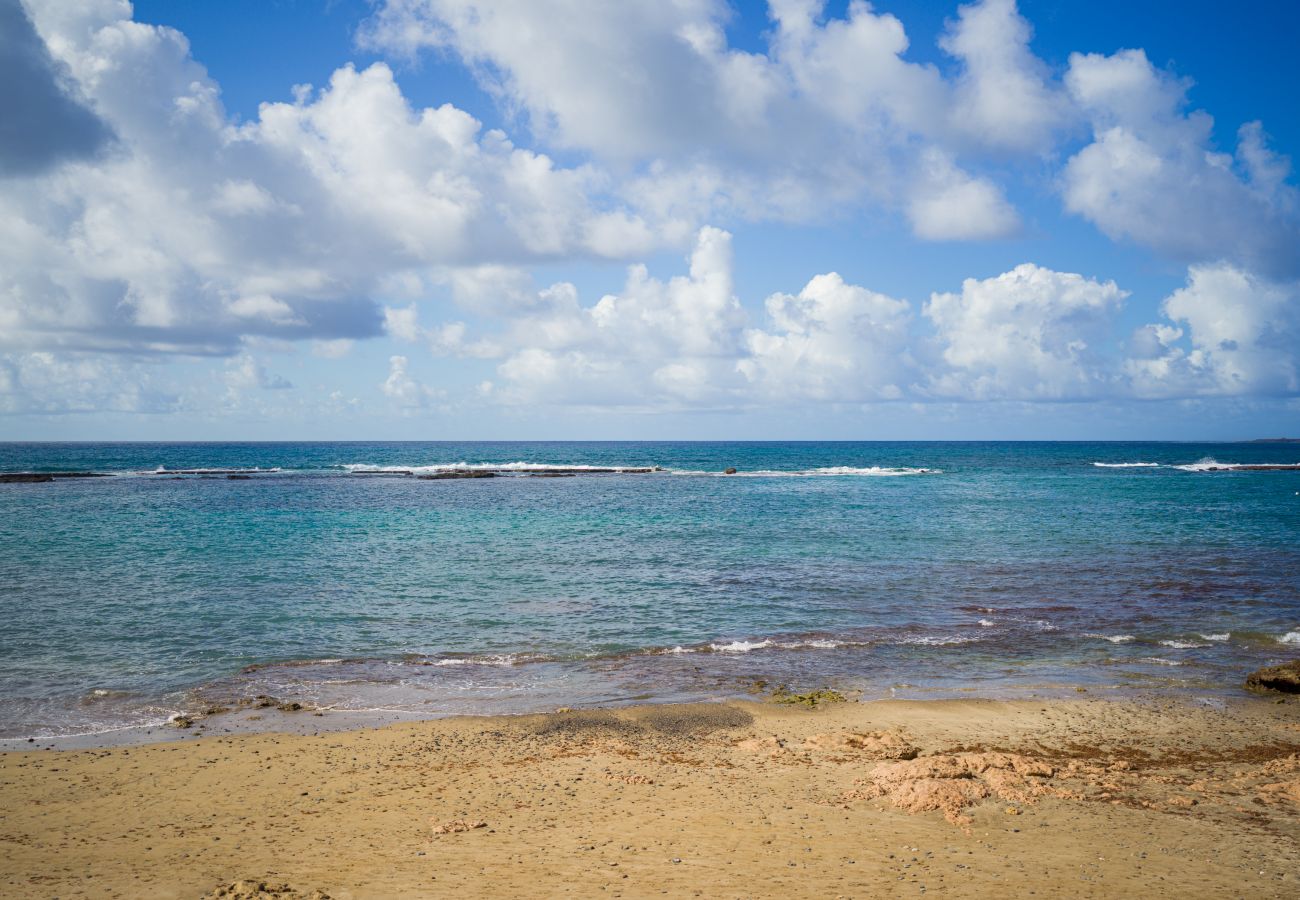 Estudio en Las Palmas de Gran Canaria - Grau Bassas 44