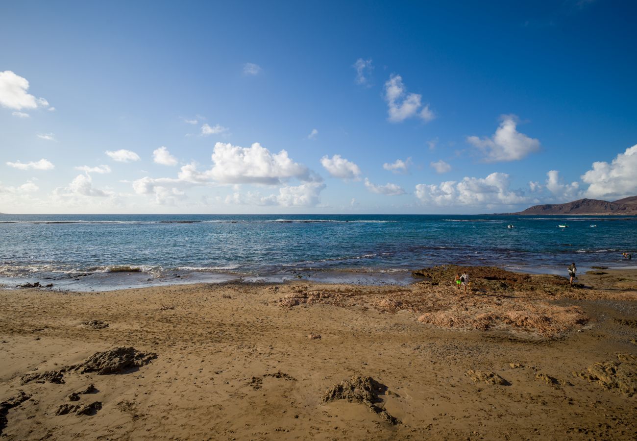 Estudio en Las Palmas de Gran Canaria - Grau Bassas 44