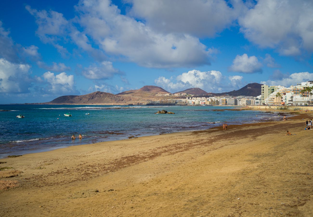 Estudio en Las Palmas de Gran Canaria - Grau Bassas 44