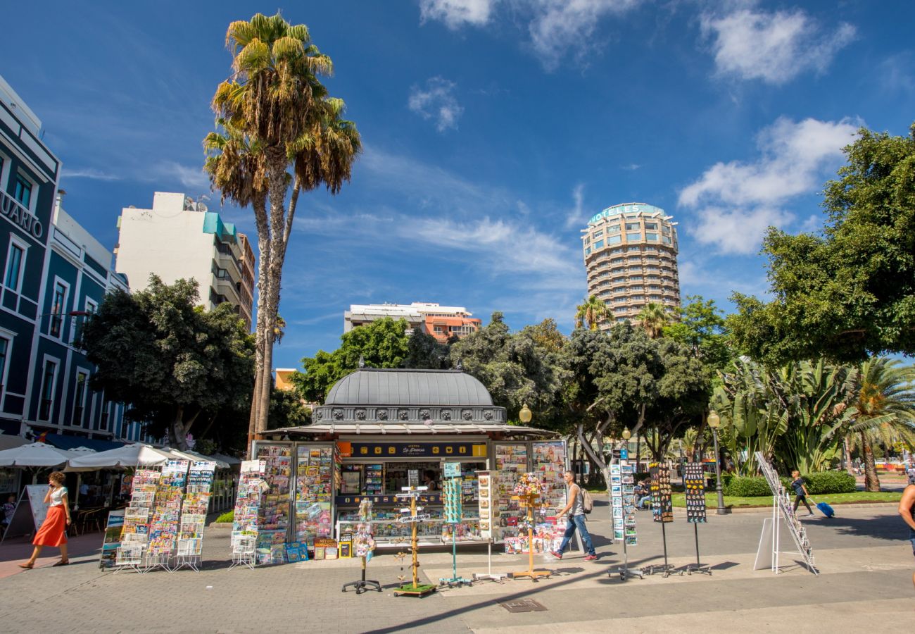 Estudio en Las Palmas de Gran Canaria - Grau Bassas 44