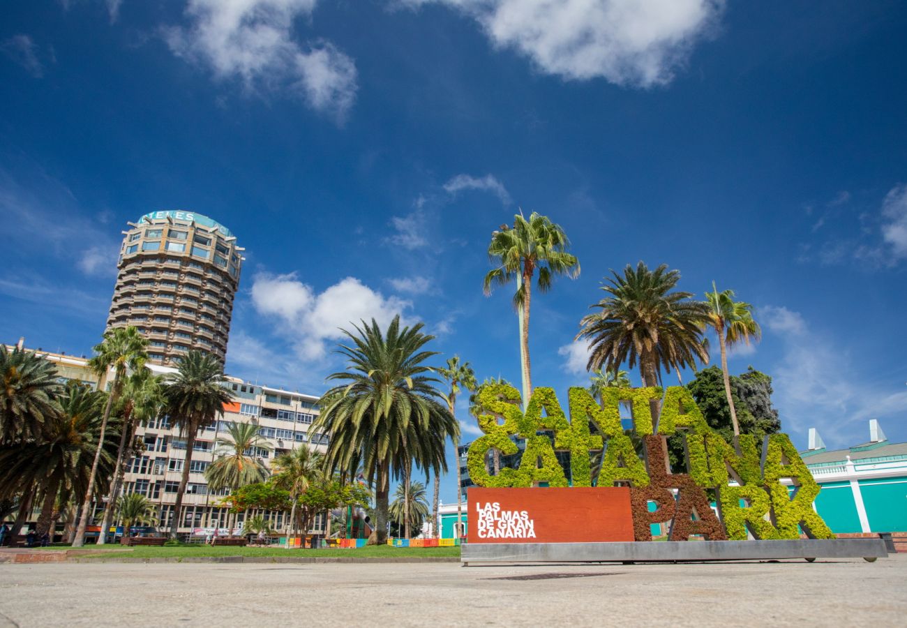 Estudio en Las Palmas de Gran Canaria - Grau Bassas 44