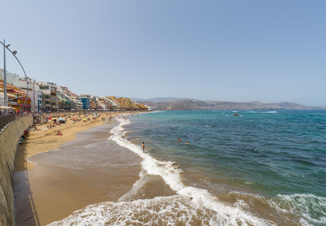 Estudio en Las Palmas de Gran Canaria - Grau Bassas 38