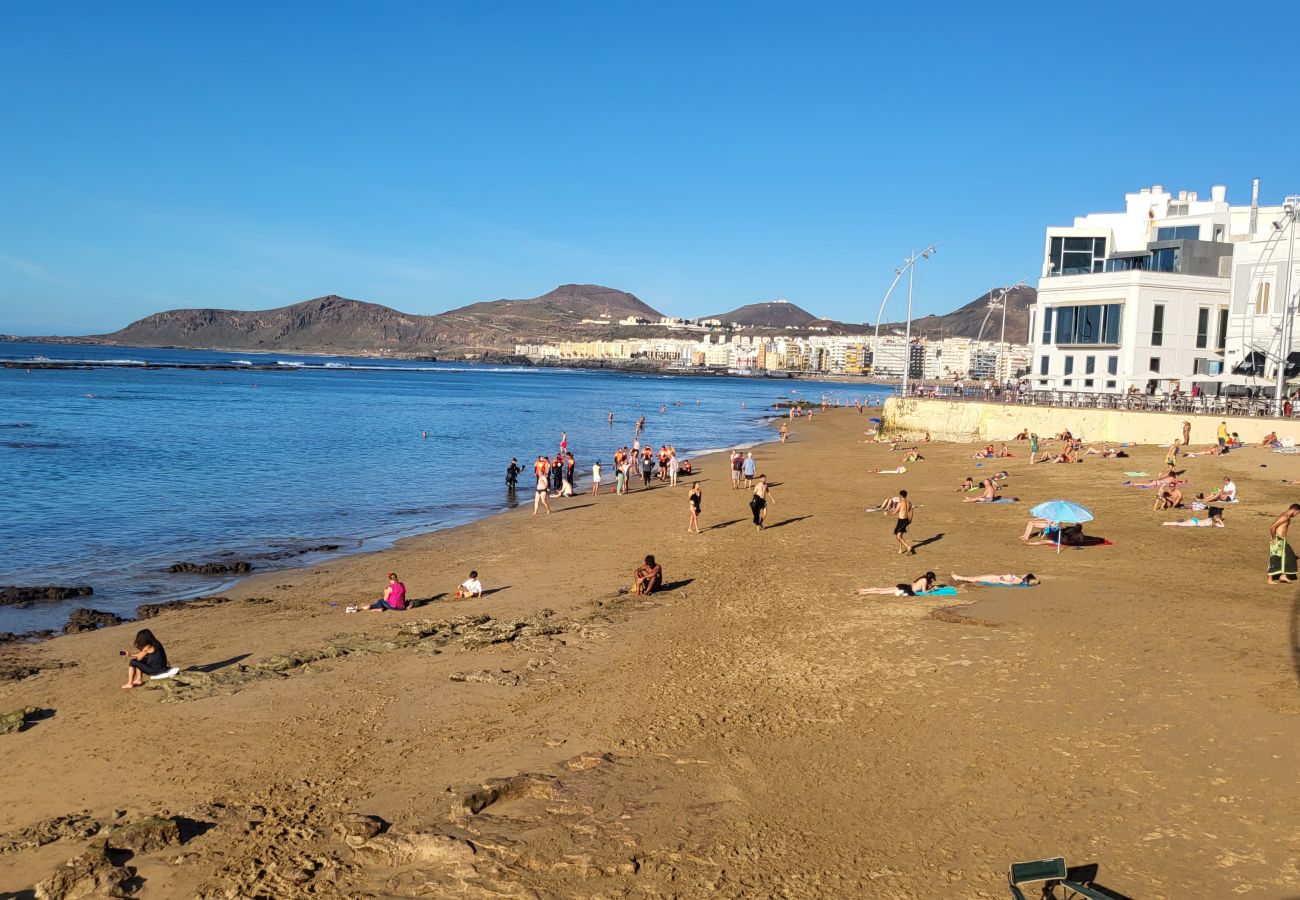 Estudio en Las Palmas de Gran Canaria - Grau Bassas 38