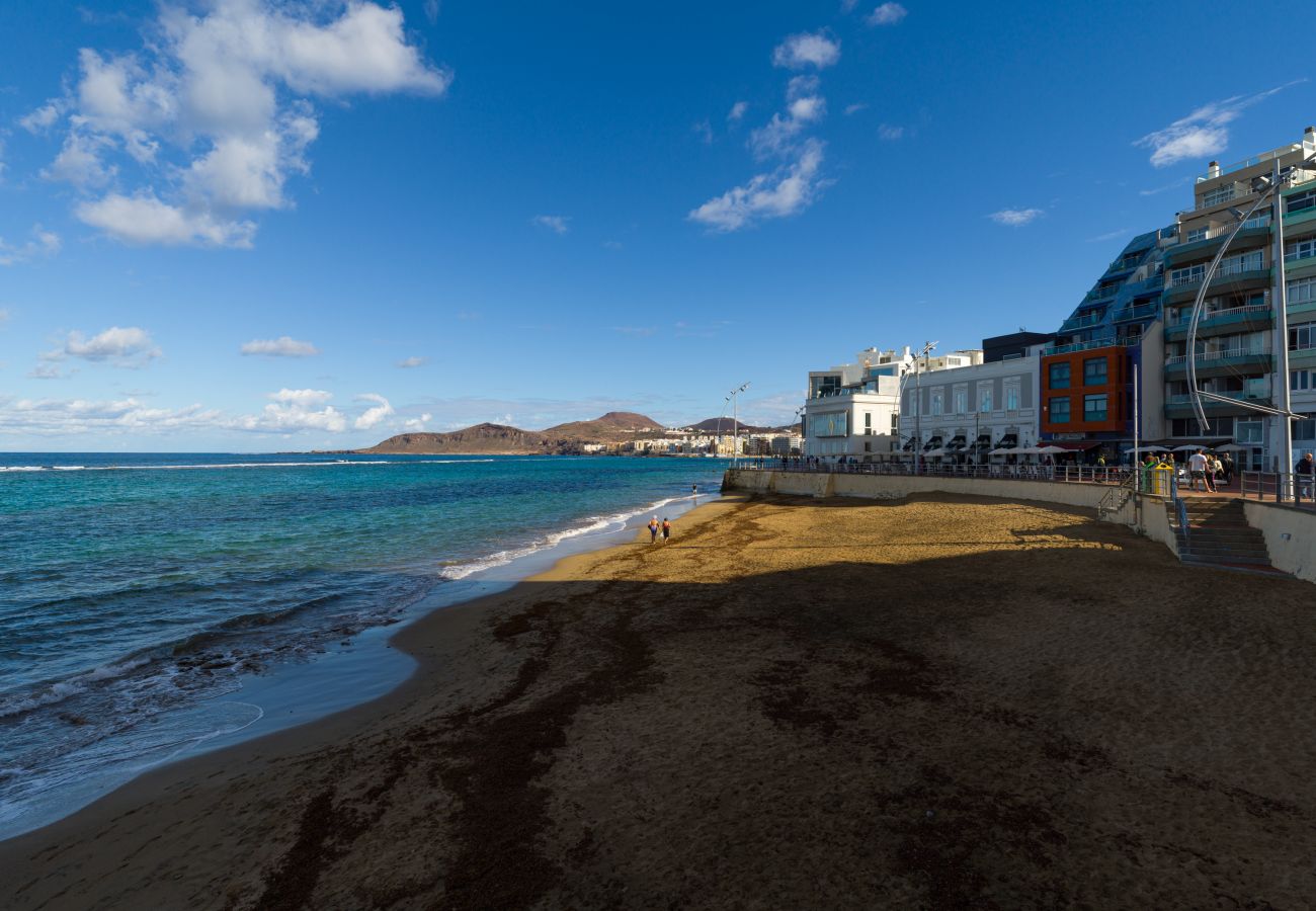 Estudio en Las Palmas de Gran Canaria - Grau Bassas 38