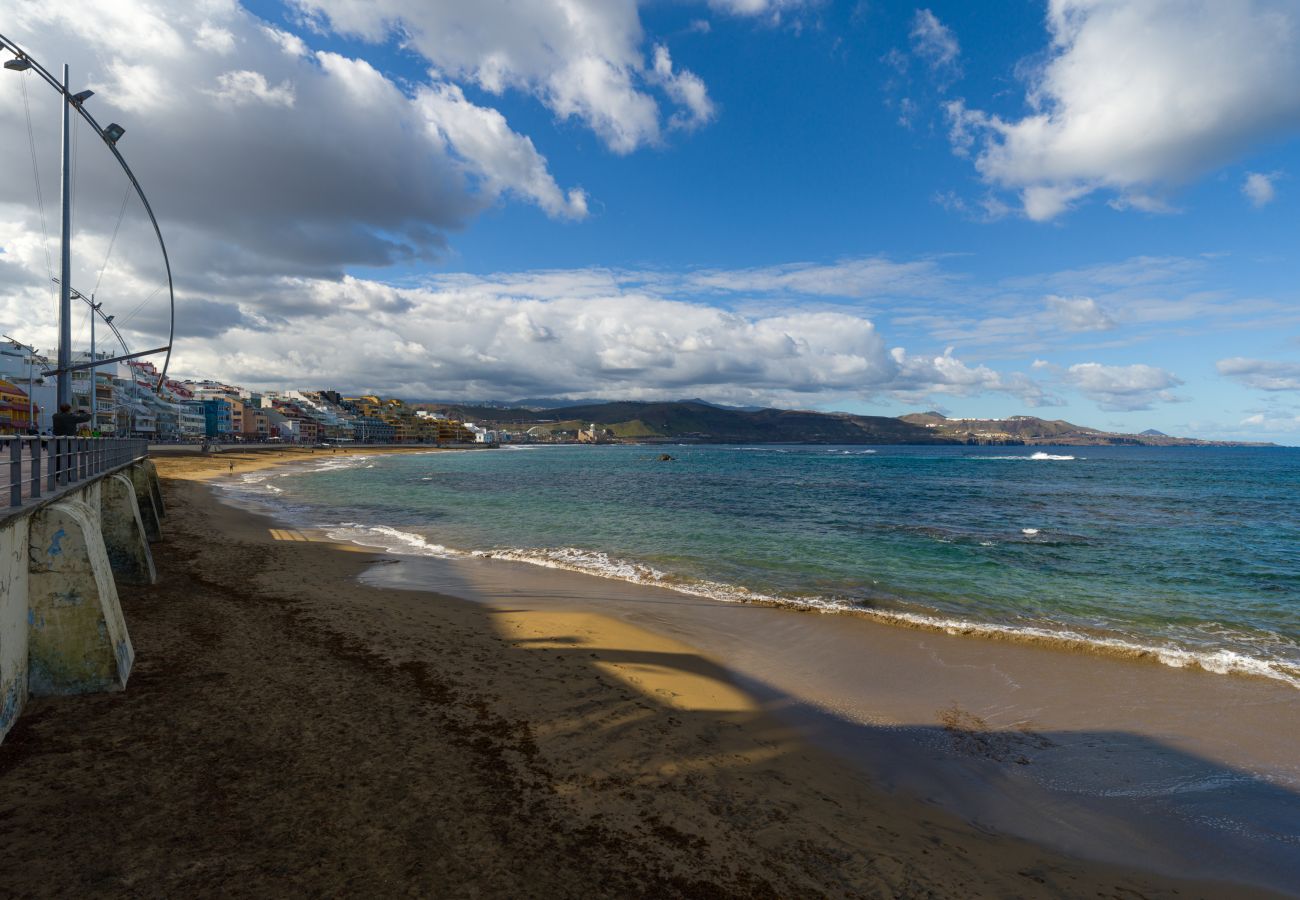 Estudio en Las Palmas de Gran Canaria - Grau Bassas 38