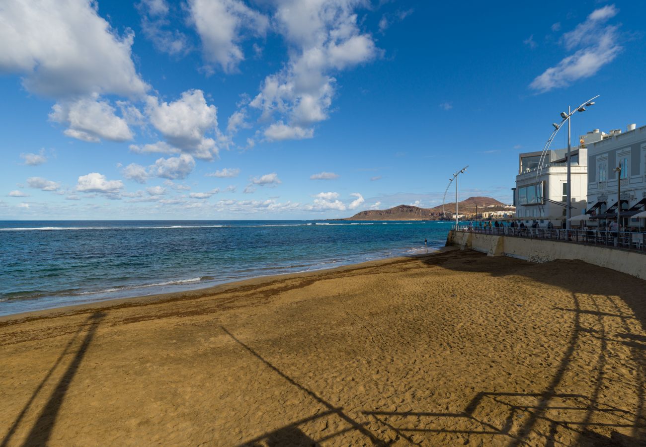 Estudio en Las Palmas de Gran Canaria - Grau Bassas 38