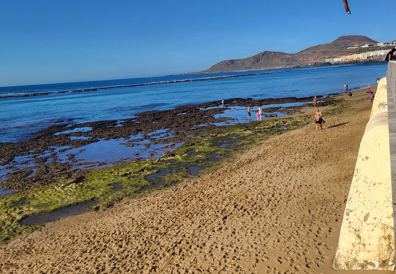 Estudio en Las Palmas de Gran Canaria - Grau Bassas 38