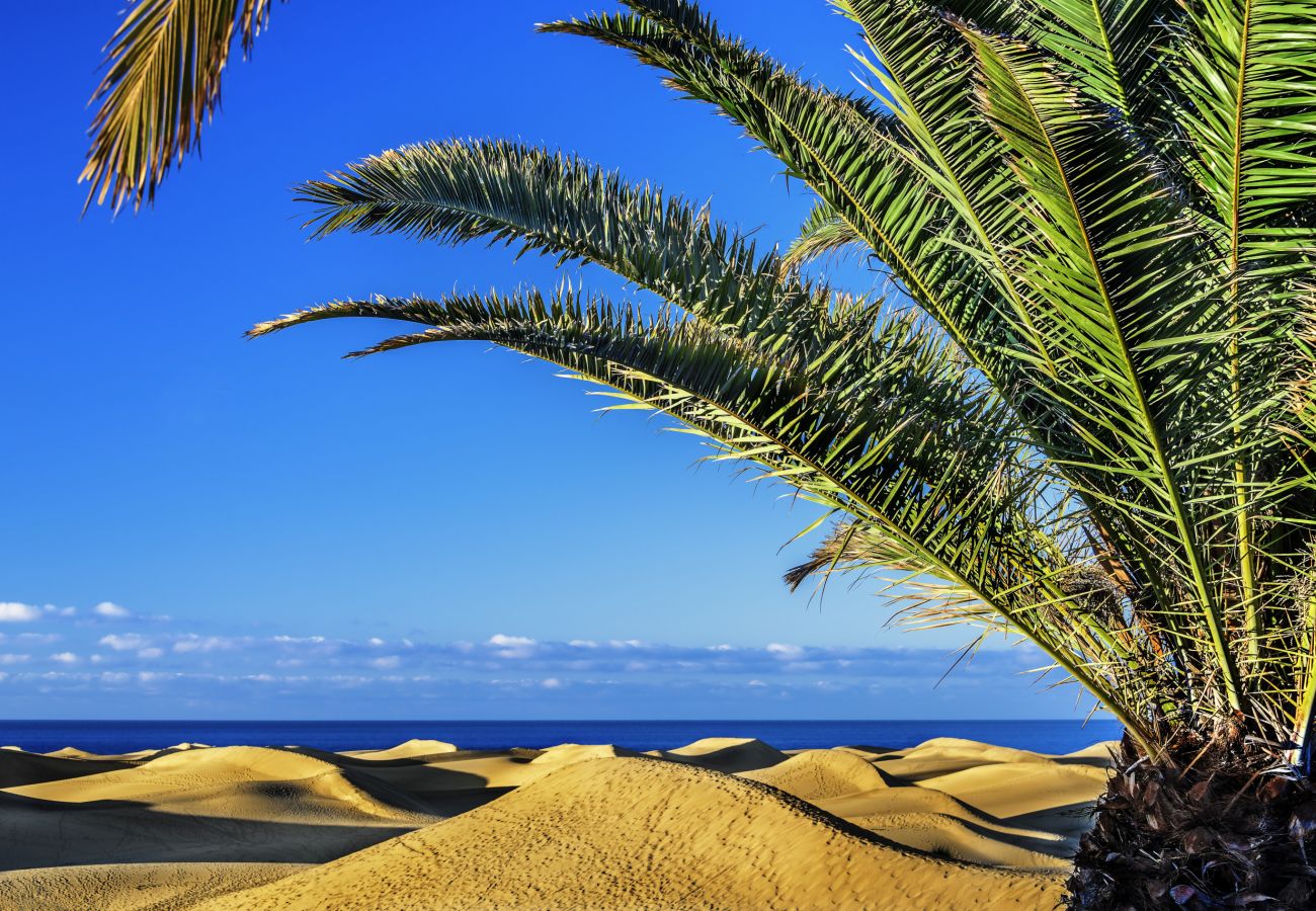 Casa en Las Palmas de Gran Canaria - Americo Vespucio 35