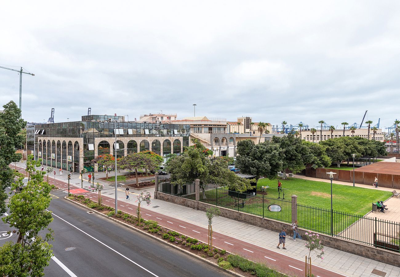 Estudio en Las Palmas de Gran Canaria - Juan Rejón 87