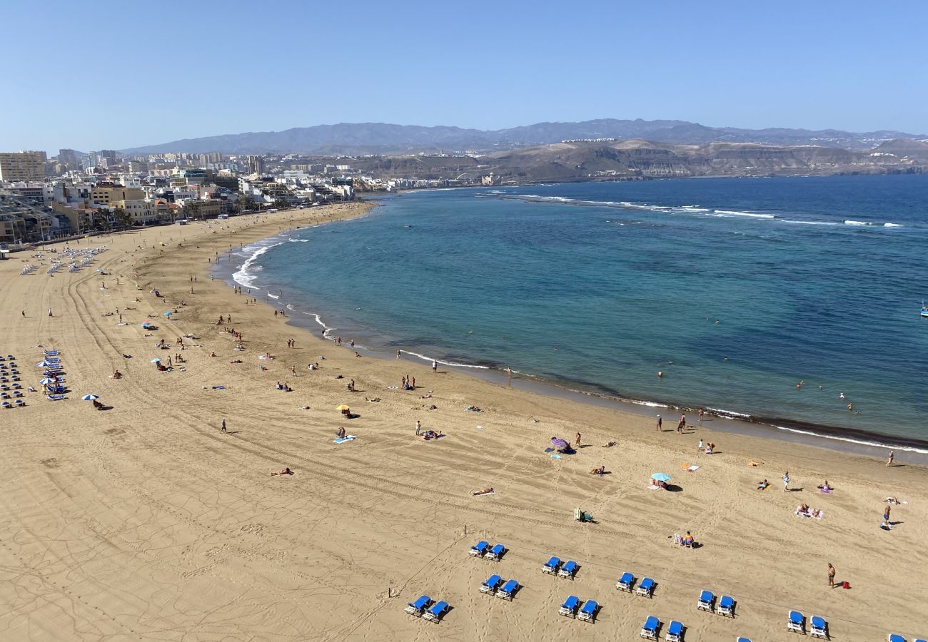 Estudio en Las Palmas de Gran Canaria - Juan Rejón 87