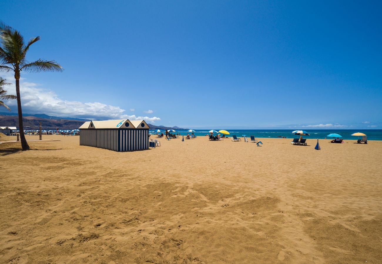 Estudio en Las Palmas de Gran Canaria - Juan Rejón 87