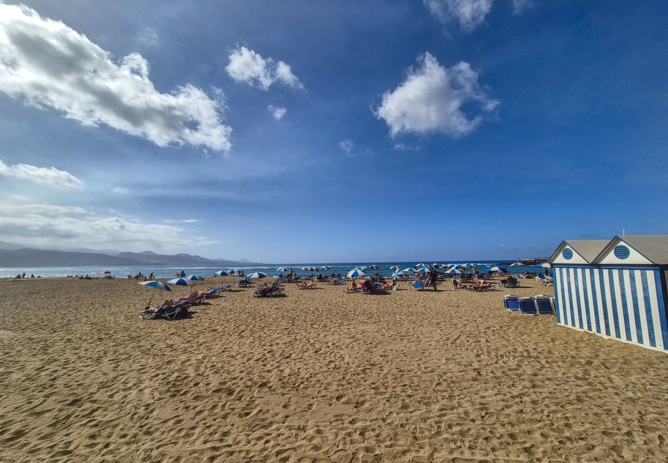 Estudio en Las Palmas de Gran Canaria - Lanzarote 4