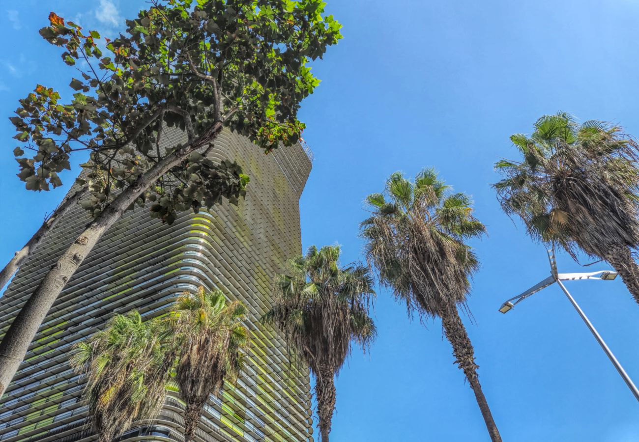 Ferienwohnung in Las Palmas de Gran Canaria - Lanzarote 4